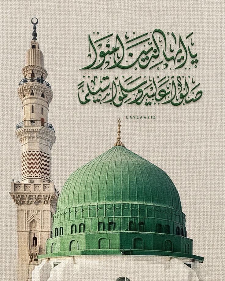 موقع الناسخ